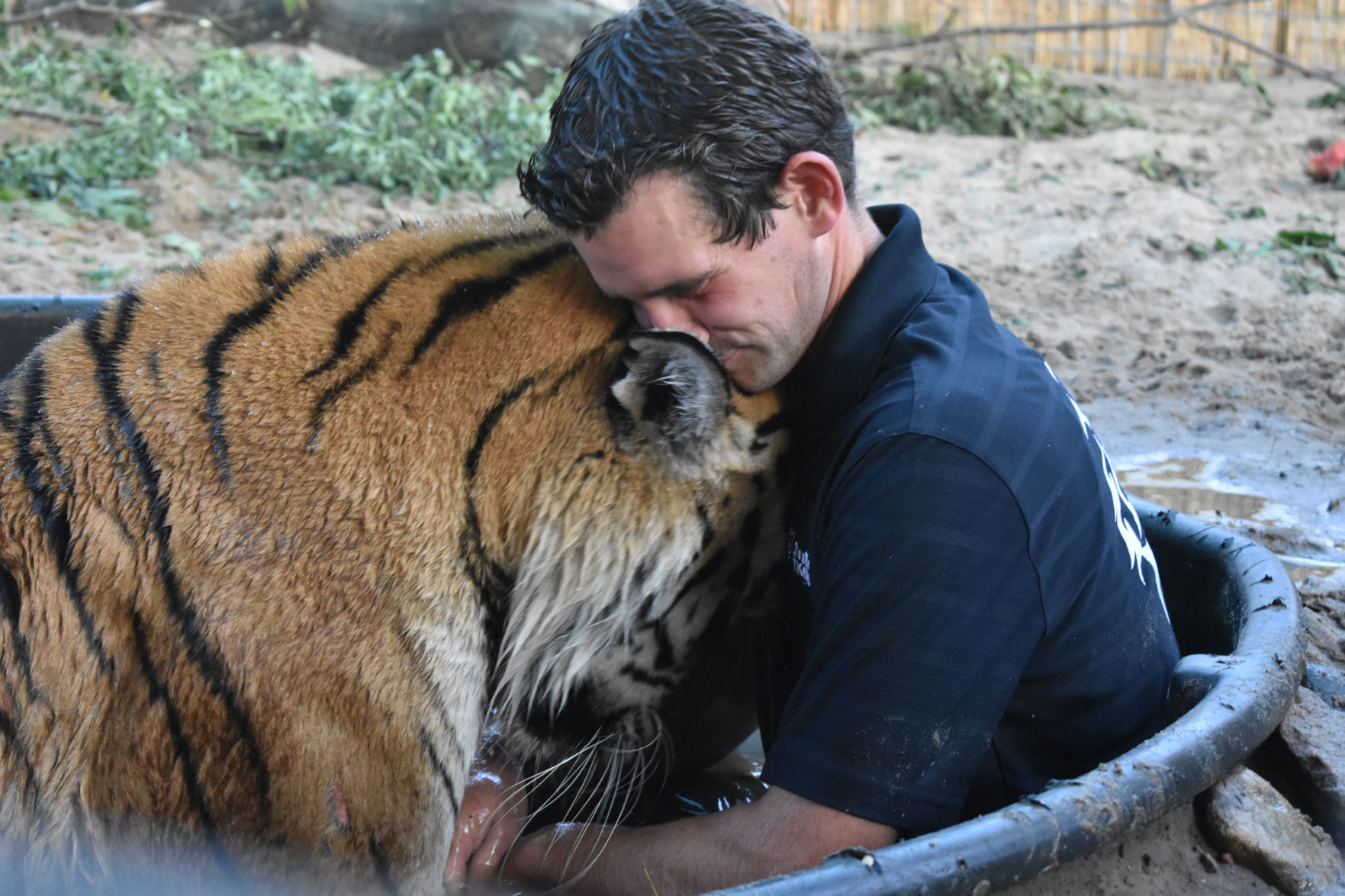 Ryan hugs Zeya the tiger